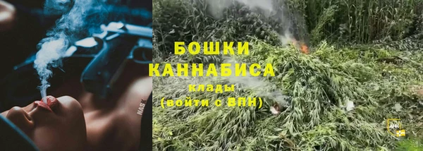 ECSTASY Инта