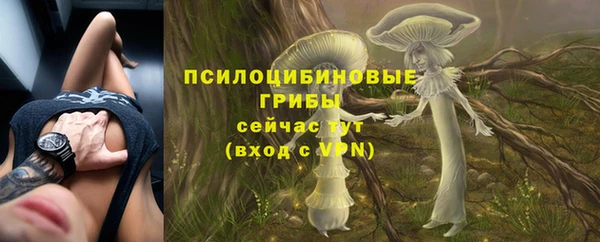 герыч Иннополис