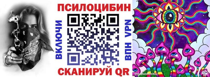 Купить  Зеленокумск  Галлюциногенные грибы Psilocybe 
